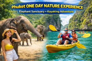 Phuket One Day Nature Experience Elephant Sanctuary • Kayaking Adventure