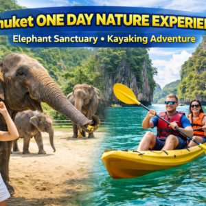 Phuket One Day Nature Experience Elephant Sanctuary • Kayaking Adventure