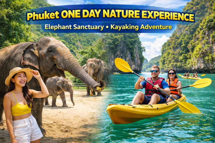 Phuket One Day Nature Experience Elephant Sanctuary • Kayaking Adventure